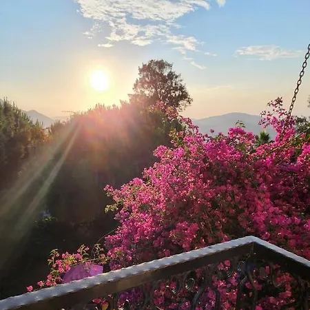 Antas Deluxe Aparts شقة Cedit