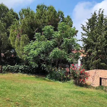 شقة Antas Deluxe Aparts