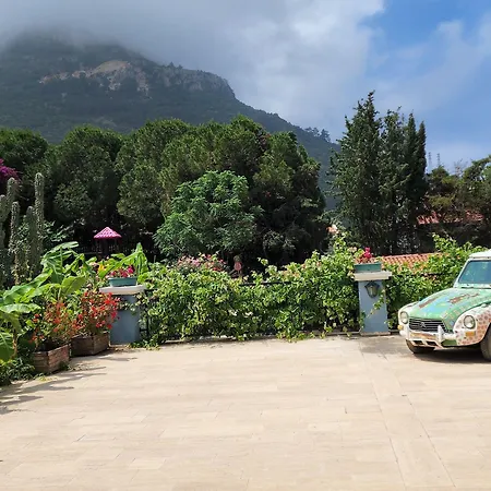 Antas Deluxe Aparts شقة Cedit